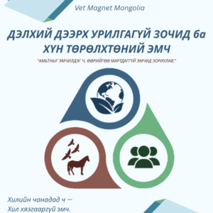“ДЭЛХИЙ ДЭЭРХ УРИЛГАГҮЙ ЗОЧИД БА ХҮН ТӨРӨЛХТӨНИЙ ЭМЧ”